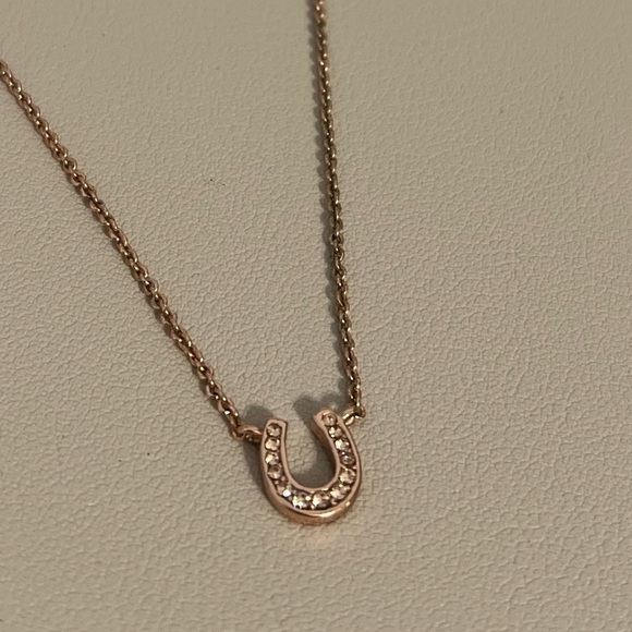 Fossil Horseshoe Necklace - Picture 7 of 10